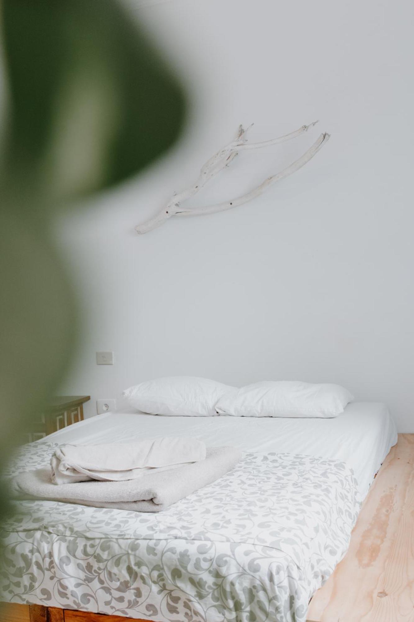 Surf House Gran Canaria 라스팔마스 외부 사진